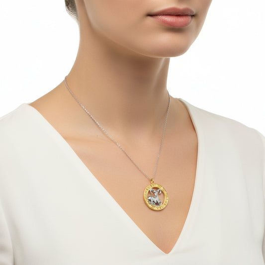 Gold Plated Aries Zodiac Silver Necklace