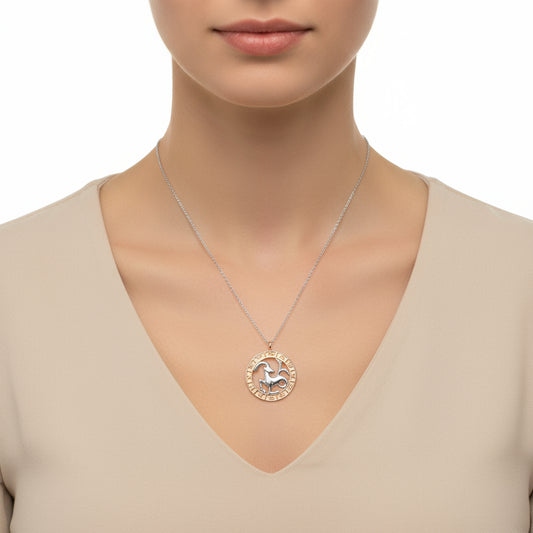 Rose Gold Plated Capricorn Zodiac Silver Necklace