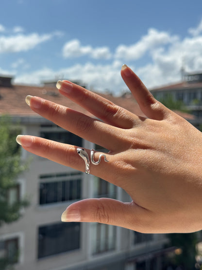 Bague en argent spirale ombrée