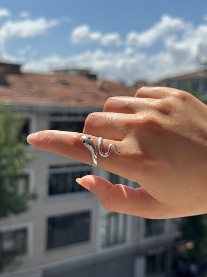 Bague en argent spirale ombrée