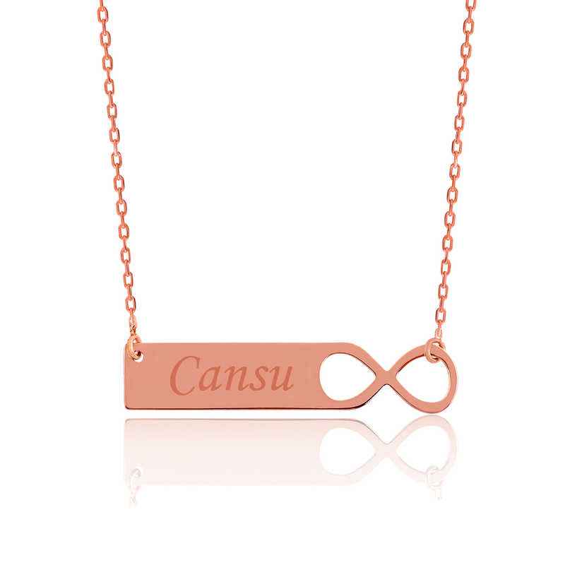Infinity Plate Name Necklace in Silver