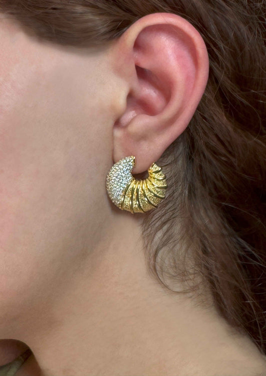 Seashell Silver Earrings